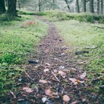 The Entrepreneur Path with code(love)